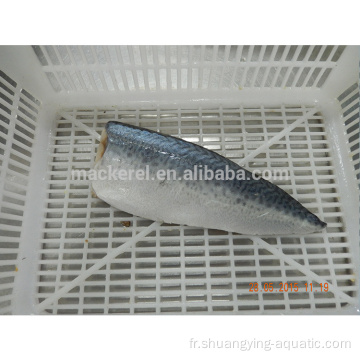 Exportation chinoise Fiffet de maquereau de poisson surgelé